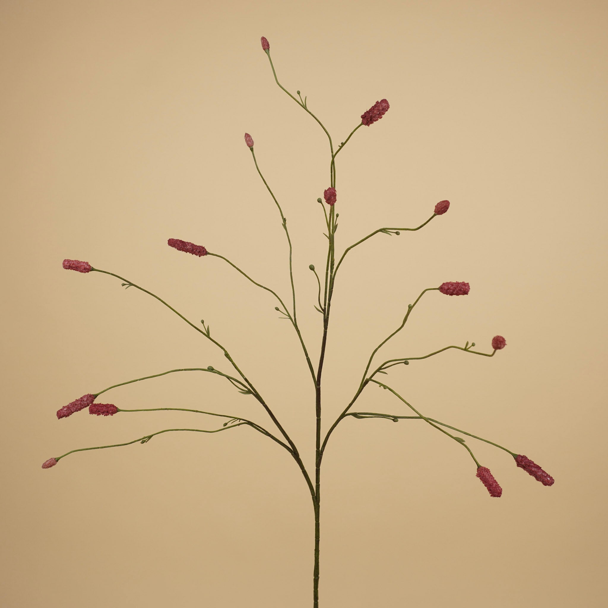 Zijde sanguisorba pluimtak magenta 109 cm