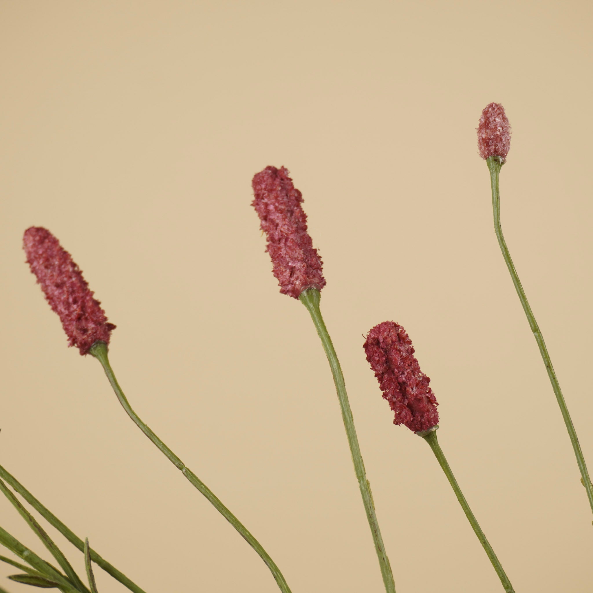 Zijde sanguisorba pluimtak magenta 109 cm