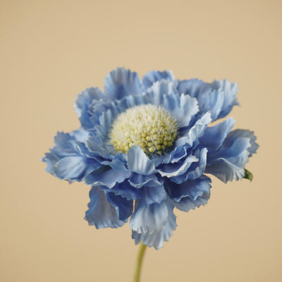 Zijde Scabiosa Tak – Zacht Blauw (63 cm)