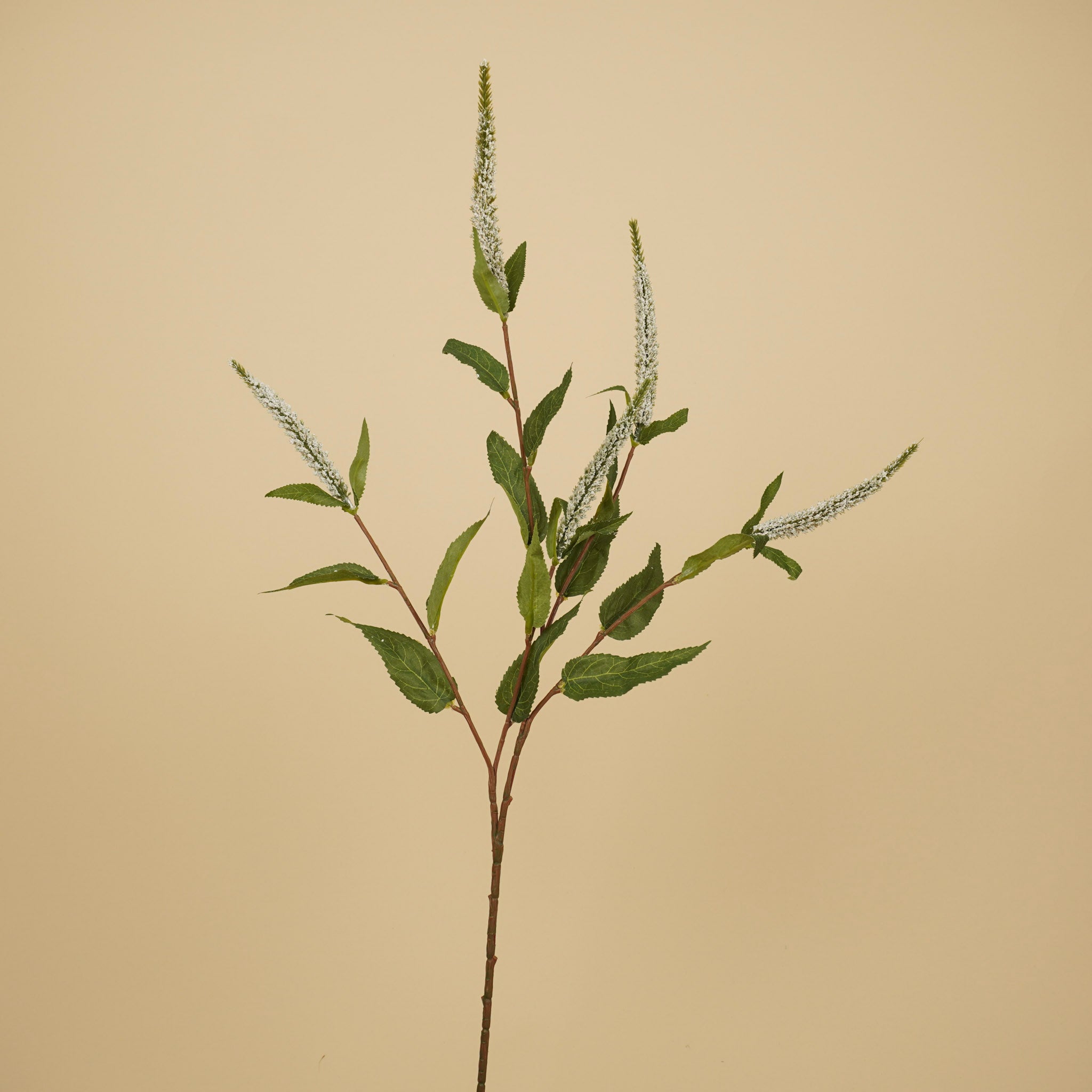 Zijde Veronica Tak – Wit (72 cm)