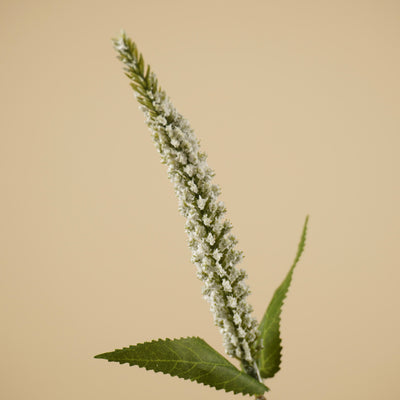 Zijde Veronica Tak – Wit (72 cm)