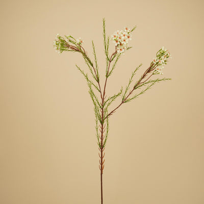 Zijde Waxflower – Ivoor (78 cm)