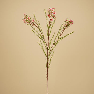 Zijde Waxflower – Zacht Roze (78 cm)