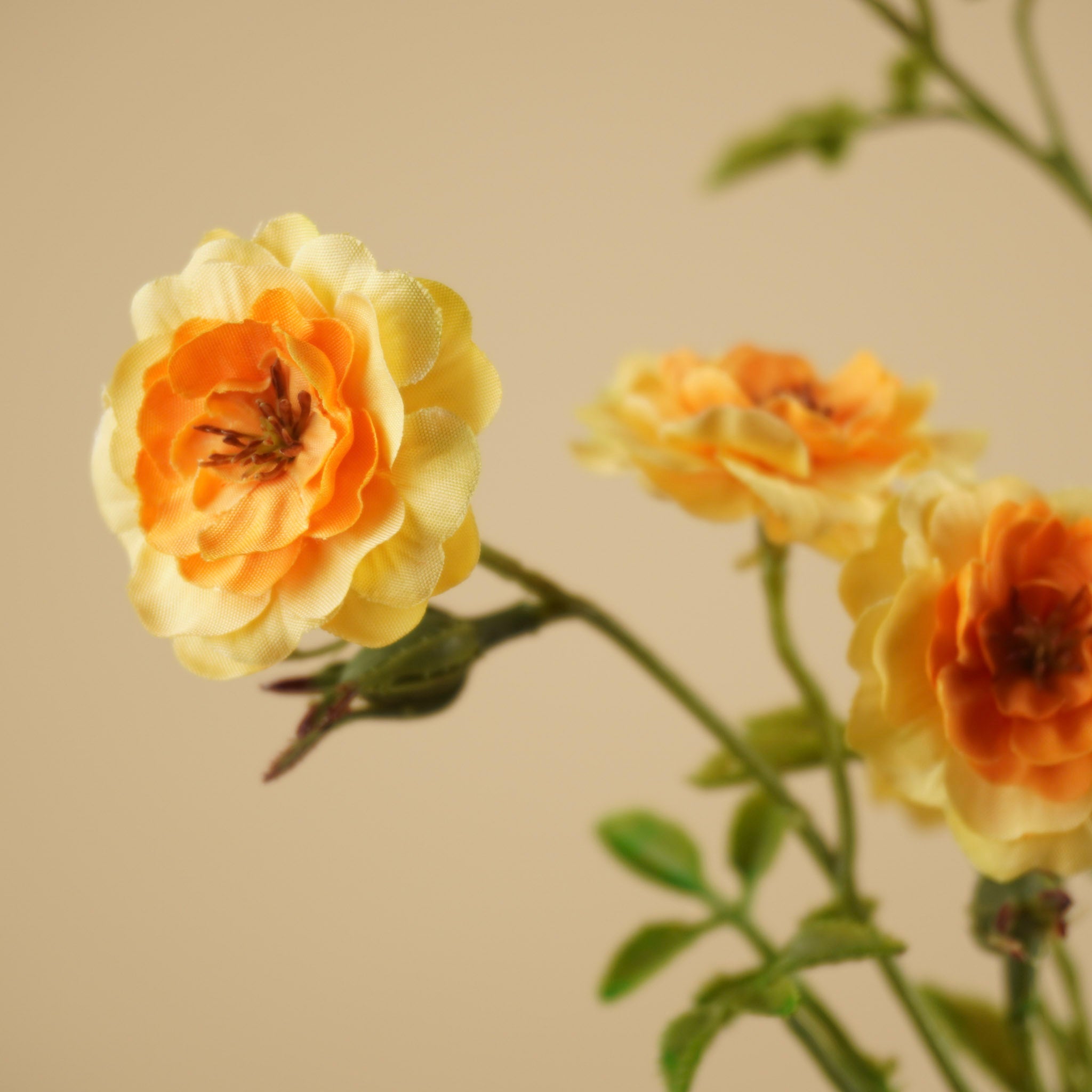 Zijde wilde rozentak oranje 87 cm